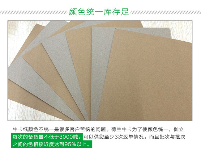 008荷蘭?？?jpg